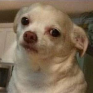 Meet your Posher, Itzel